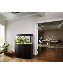 JUWEL® AQUARIUM Einzel Aquarien > Vision 260 LED