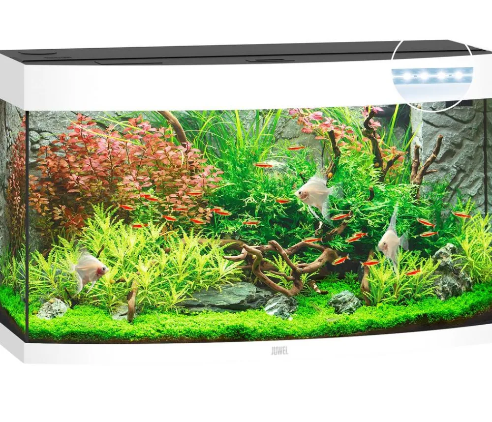 JUWEL® AQUARIUM Einzel Aquarien > Vision 180 LED