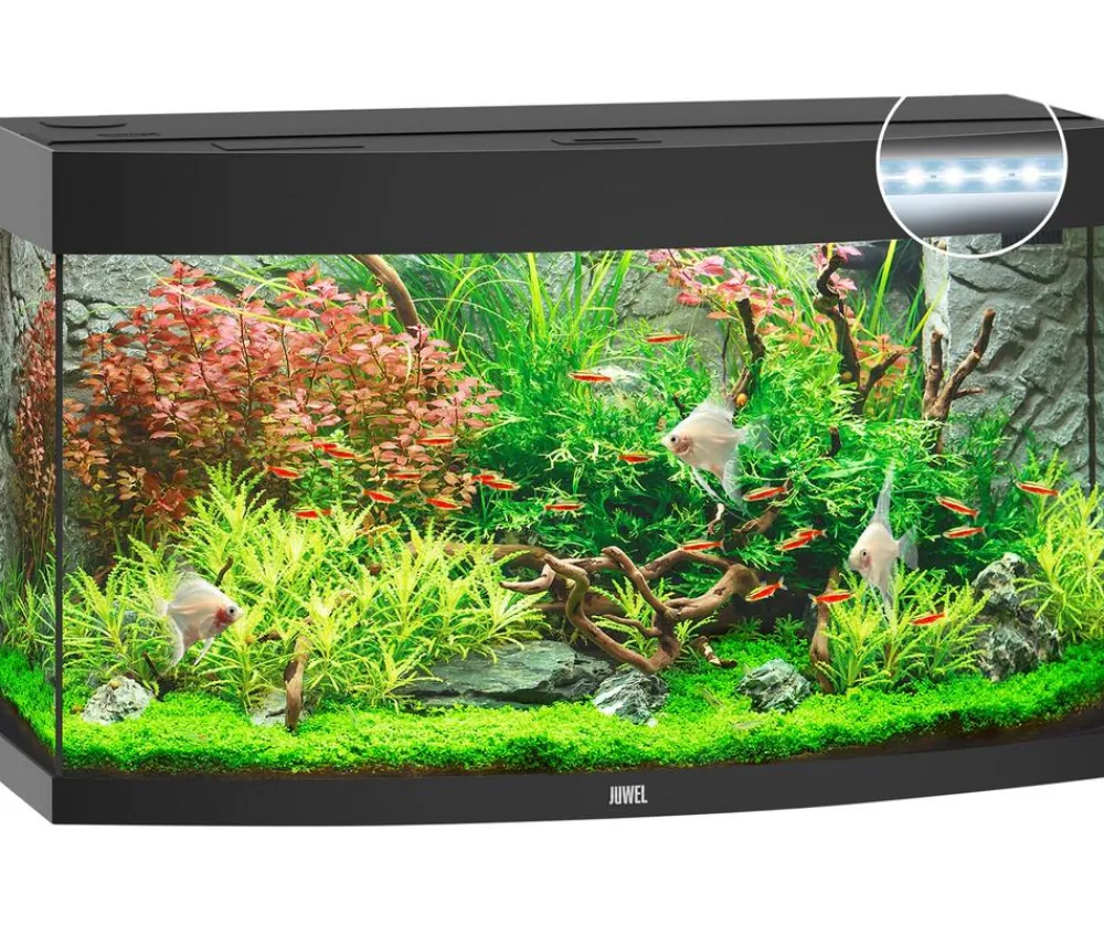JUWEL® AQUARIUM Vision 180 LED Schwarz Outlet