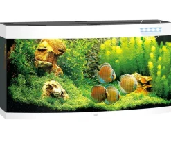 JUWEL® AQUARIUM Einzel Aquarien - Vision 260 LED Weiß