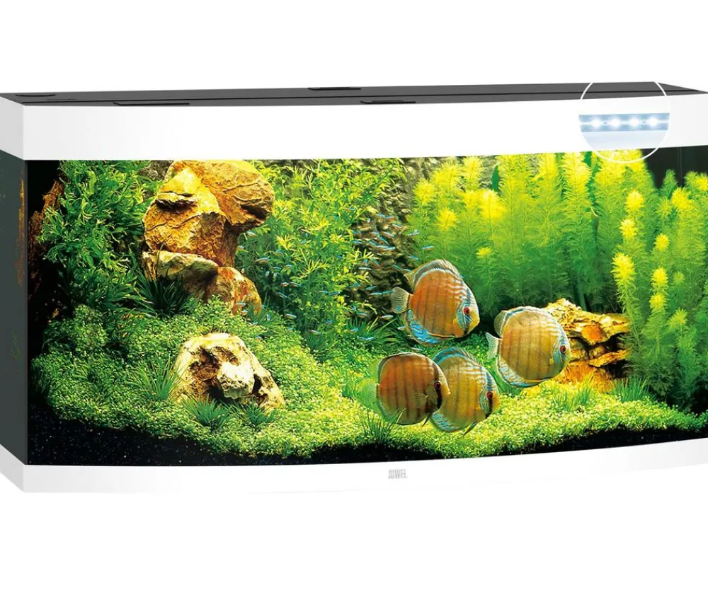 JUWEL® AQUARIUM Einzel Aquarien - Vision 260 LED Weiß