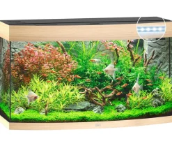 JUWEL® AQUARIUM Einzel Aquarien - Vision 180 LED Hellbraun