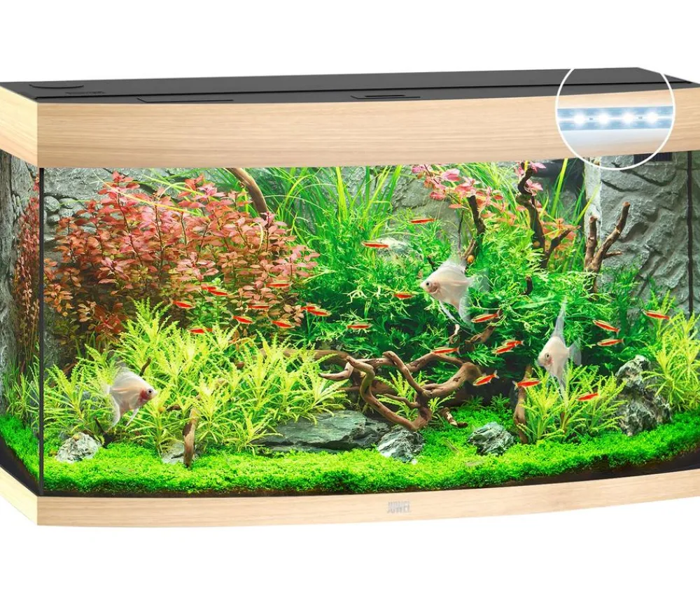 JUWEL® AQUARIUM Einzel Aquarien - Vision 180 LED Hellbraun