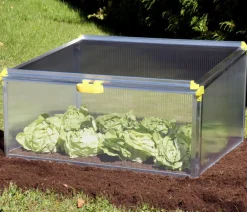 Juwel Frühbeet Biostar Protect 1000, ca. B100/H52/T76 cm Transparent Online