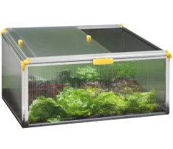 Juwel Frühbeet Biostar Protect 1000, ca. B100/H52/T76 cm Transparent Online