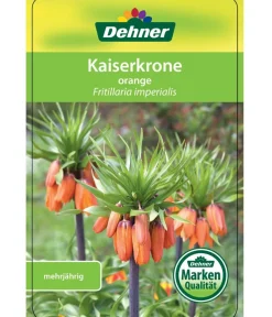 Dehner Kaiserkrone Orange Outlet