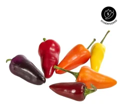 Dehner Kalifornische Peperoni Rot Clearance