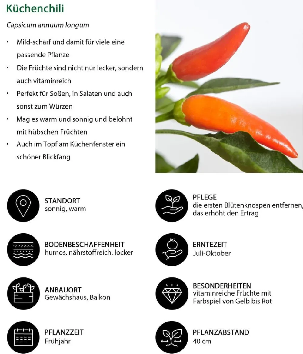 Dehner Küchenchili, mild-scharf New