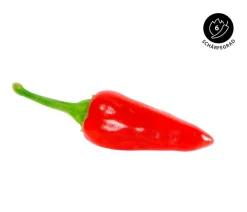 Dehner Peperoni- & Paprikapflanzen > Küchenchili, scharf