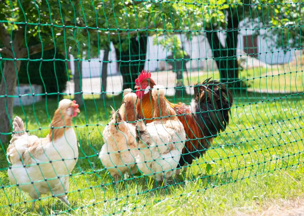 Kerbl Mehr Hühnerzubehör|Bauernhof Zubehör > Geflügelnetz PoultryNet Doppelspitze, elektrifizierbar