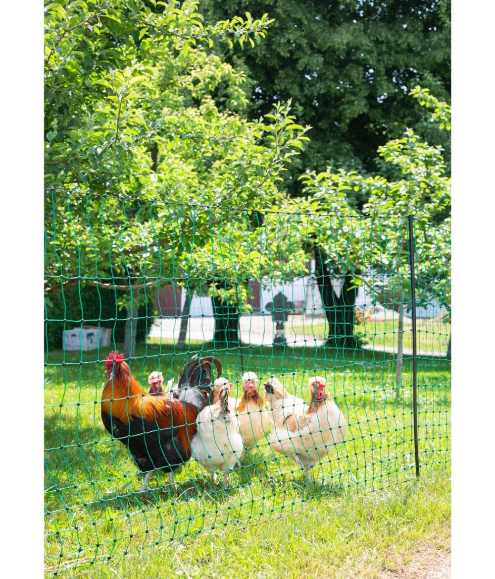 Kerbl Mehr Hühnerzubehör|Bauernhof Zubehör > Geflügelnetz PoultryNet Doppelspitze, elektrifizierbar