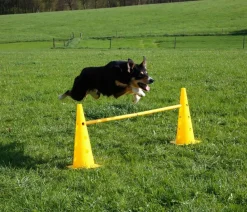 Kerbl Hundespielzeug > Hundespielzeug Agility Pylonen-Hürden Set