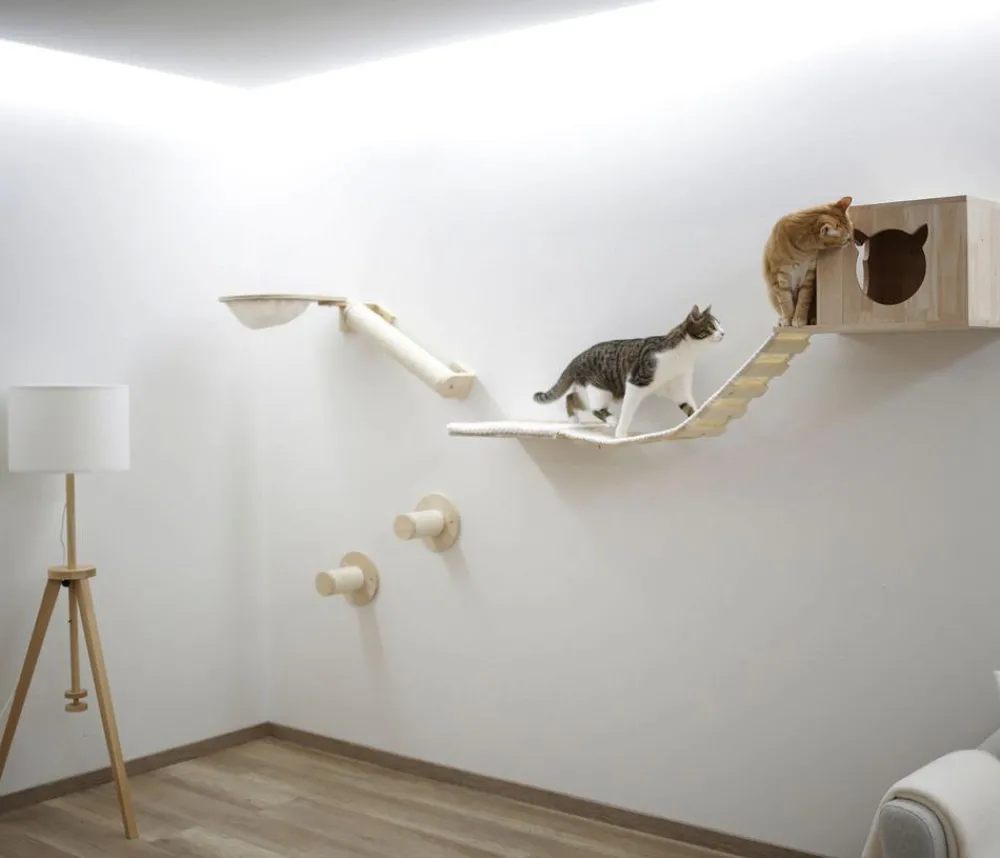 KERBL Pet Kletterwand Anden, 8-teilig Best