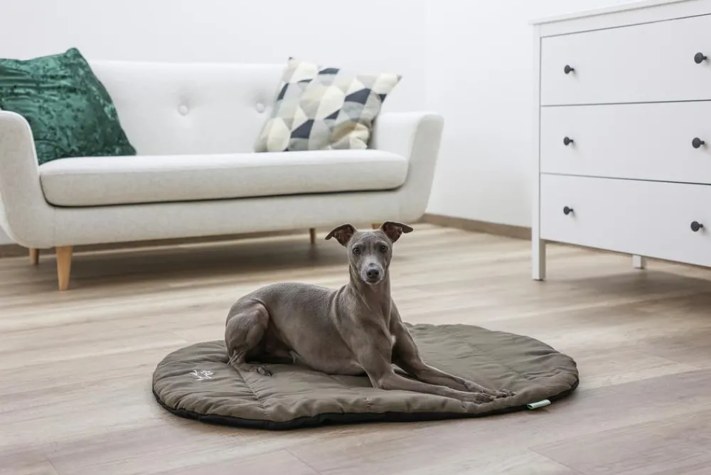 Kerbl Mehr Transport & Unterwegs|Hundedecken > Reisekissen Traveller, oval, , ca. B85/H3/T65 cm