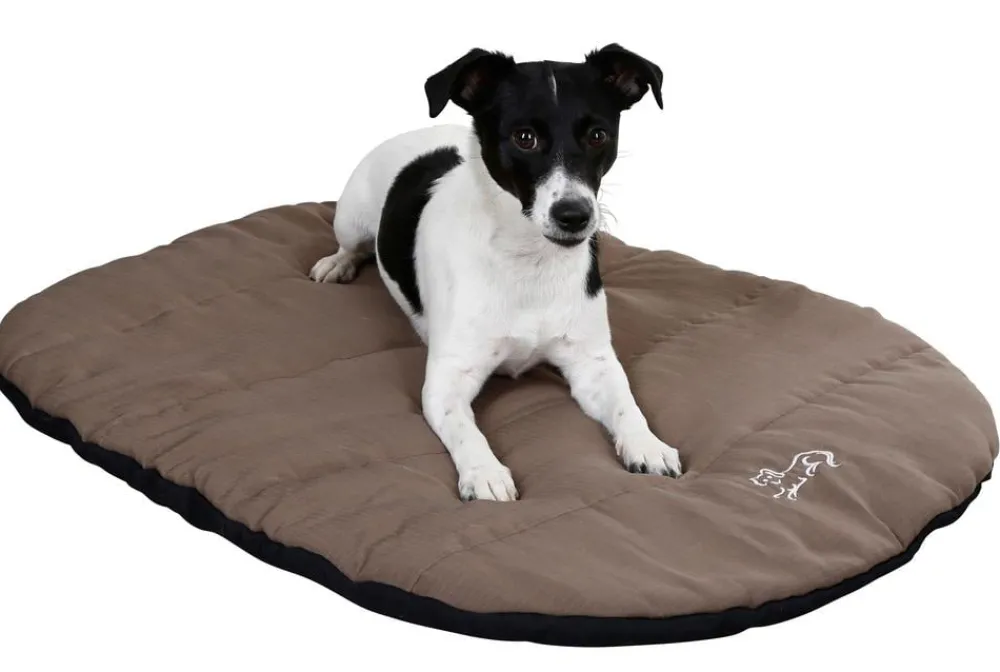 Kerbl Mehr Transport & Unterwegs|Hundedecken > Reisekissen Traveller, oval, , ca. B85/H3/T65 cm