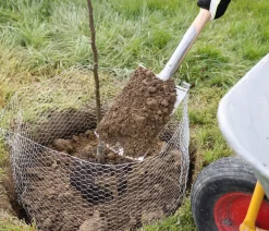 Kerbl Wühlmauskorb, unverzinkt, Grau New