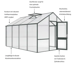 KGT Gewächshäuser > Gewächshaus Dahlie IV, ca. B297/H276/T429 cm