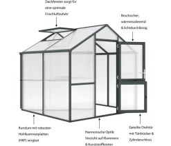 KGT Gewächshaus Iris II, ca. B233/H226/T217 cm Dunkelgrün Online