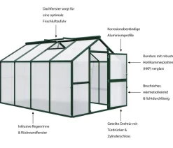 KGT Gewächshäuser - Gewächshaus Novum IV, HKP Dunkelgrün