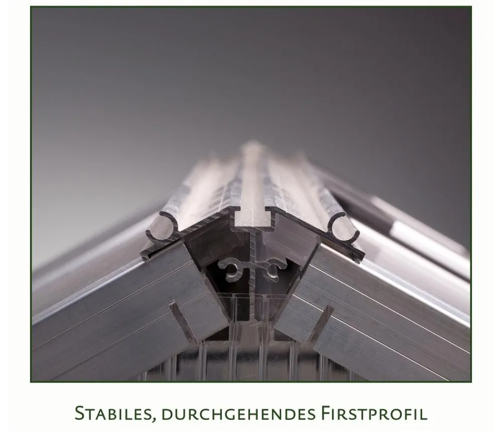 KGT Gewächshäuser - Gewächshaus Rhodo IV Silber