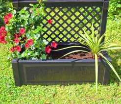 KHW Pflanzkübel & Blumenkästen > Kunststoff-Pflanz mit Spalier, ca. B100/H140/T43 cm