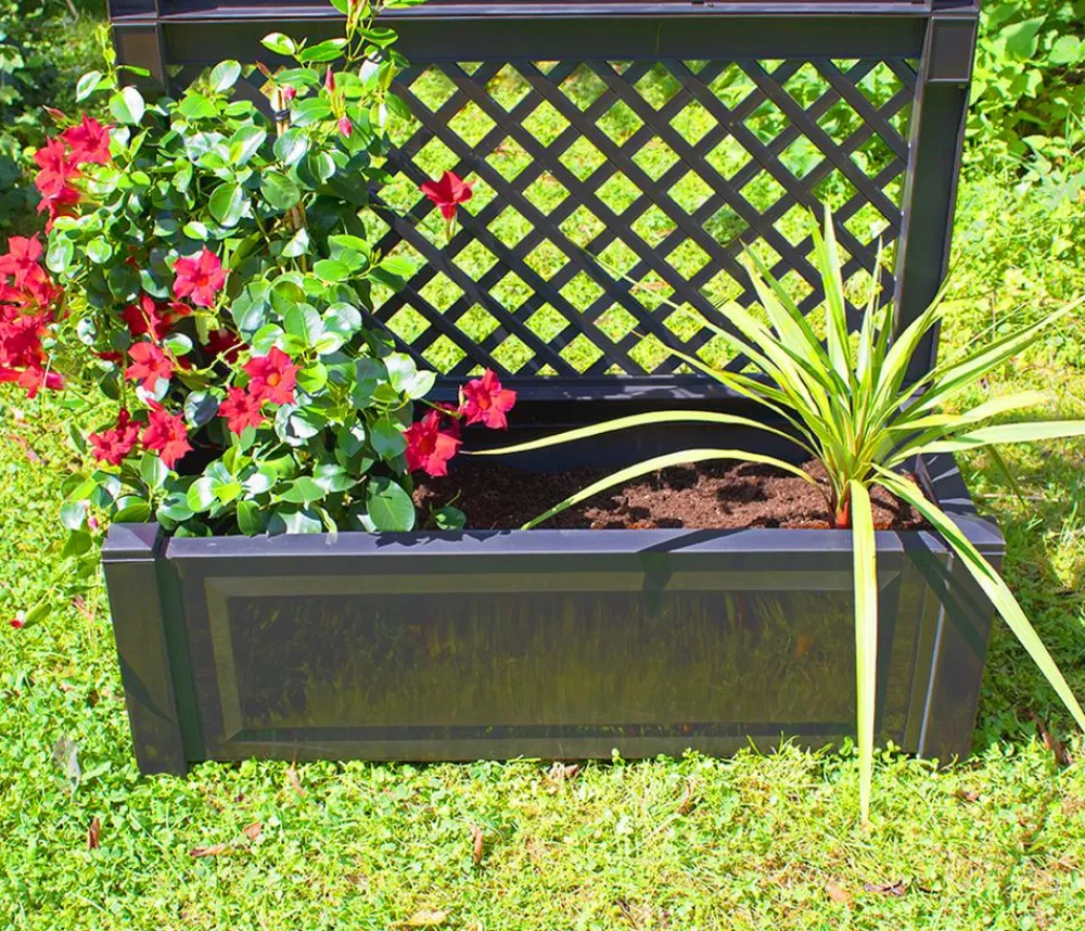 KHW Pflanzkübel & Blumenkästen > Kunststoff-Pflanz mit Spalier, ca. B100/H140/T43 cm