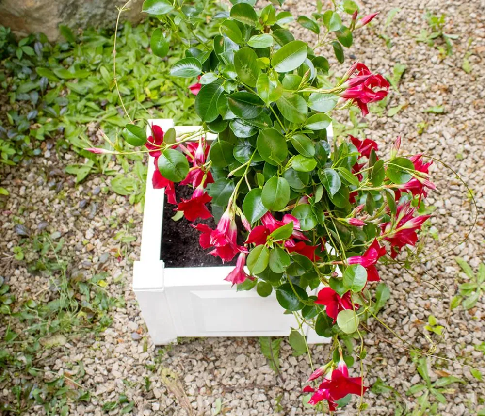 KHW Pflanzkübel & Blumenkästen > Kunststoff-Pflanzkasten, ca. B43/H41/T43 cm