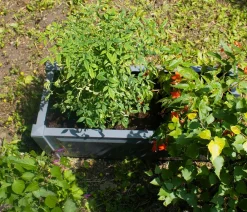 KHW Pflanzkübel & Blumenkästen > Kunststoff-Pflanzkasten, ca. B100/H41/T43 cm