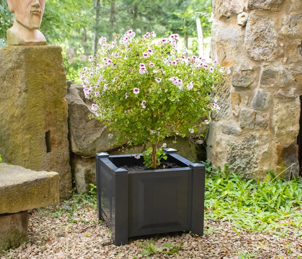 KHW Kunststoff-Pflanzkasten, ca. B43/H41/T43 cm Dunkelgrau Best