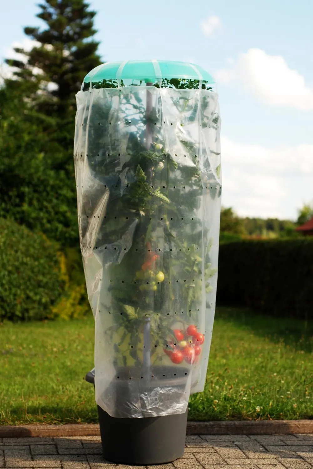 KHW Tomatenhut Grün Hot