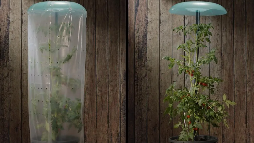 KHW Pflanzenfolien & Ernteschutz - Tomatenhut Grün
