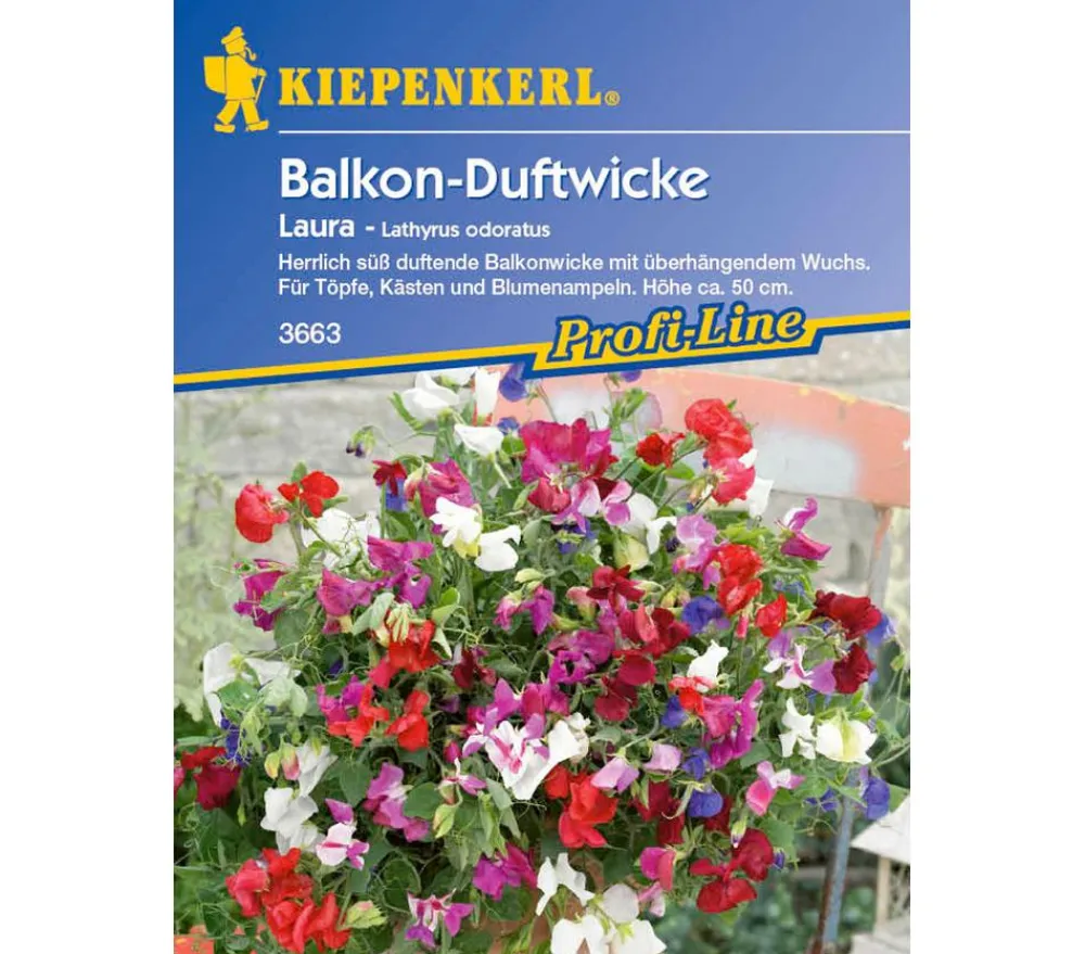 Nebelung/Kiepenkerl Kiepenkerl Saatgut Balkon-Duftwicke Laura Hot