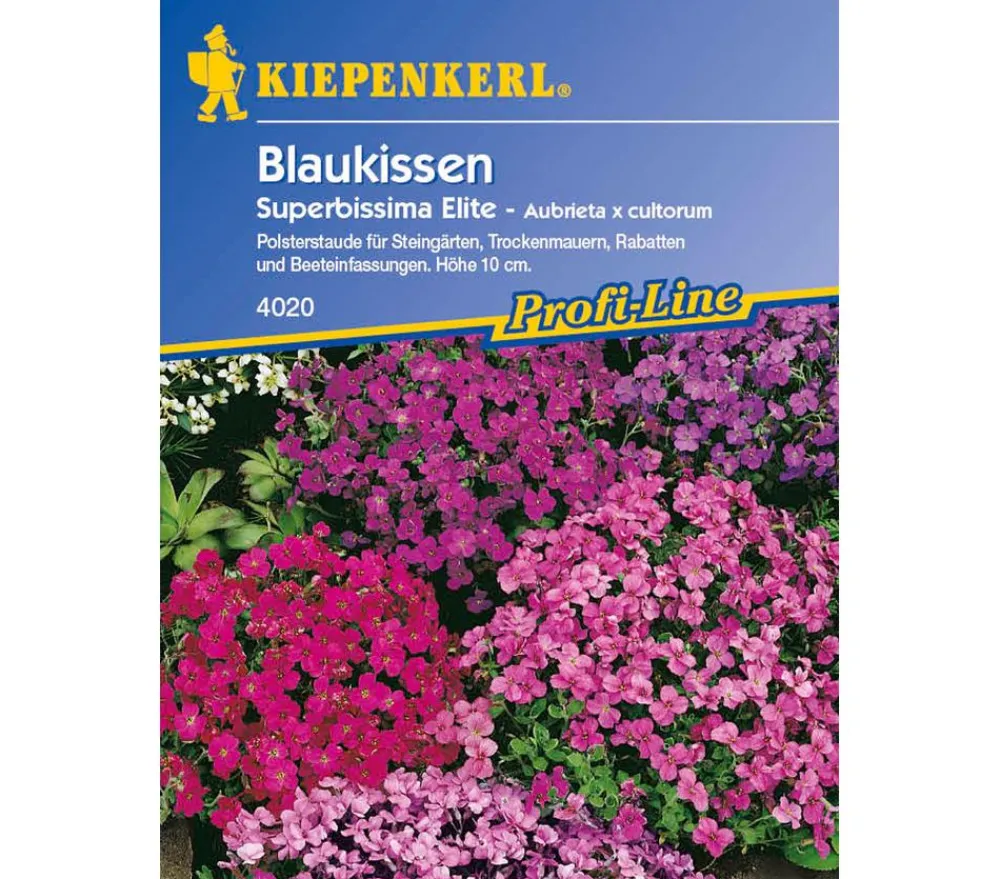 Nebelung/Kiepenkerl Blumensamen > Kiepenkerl Saatgut Blaukissen