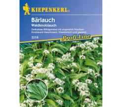 Nebelung/Kiepenkerl Gemüsesamen - Kiepenkerl Saatgut Bärlauch 'Waldknoblauch'