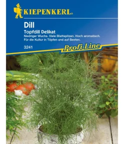 Nebelung/Kiepenkerl Kiepenkerl Saatgut Dill 'Delikat Topfdill' Clearance
