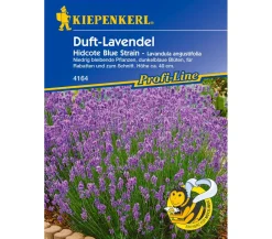 Nebelung/Kiepenkerl Kiepenkerl Saatgut Duft-Lavendel 'Hidcote Blue Strain' Blau Discount