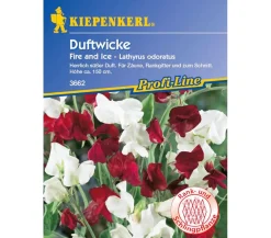 Nebelung/Kiepenkerl Blumensamen - Kiepenkerl Saatgut Duftwicke Fire and Ice