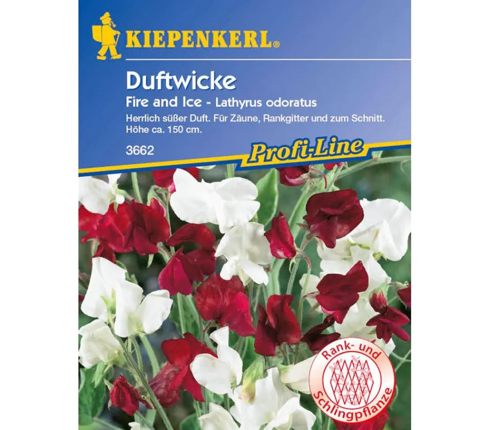 Nebelung/Kiepenkerl Blumensamen - Kiepenkerl Saatgut Duftwicke Fire and Ice