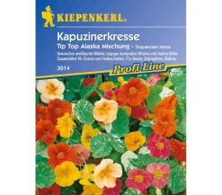 Nebelung/Kiepenkerl Blumensamen > Kiepenkerl Saatgut Kapuzinerkresse Tip Top Alaska Mix