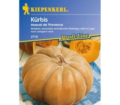 Nebelung/Kiepenkerl Gemüsesamen > Kiepenkerl Saatgut Kürbis 'Muscat de Provence'