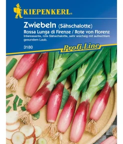 Nebelung/Kiepenkerl Gemüsesamen - Kiepenkerl Saatgut Lauchzwiebel 'Florenz'