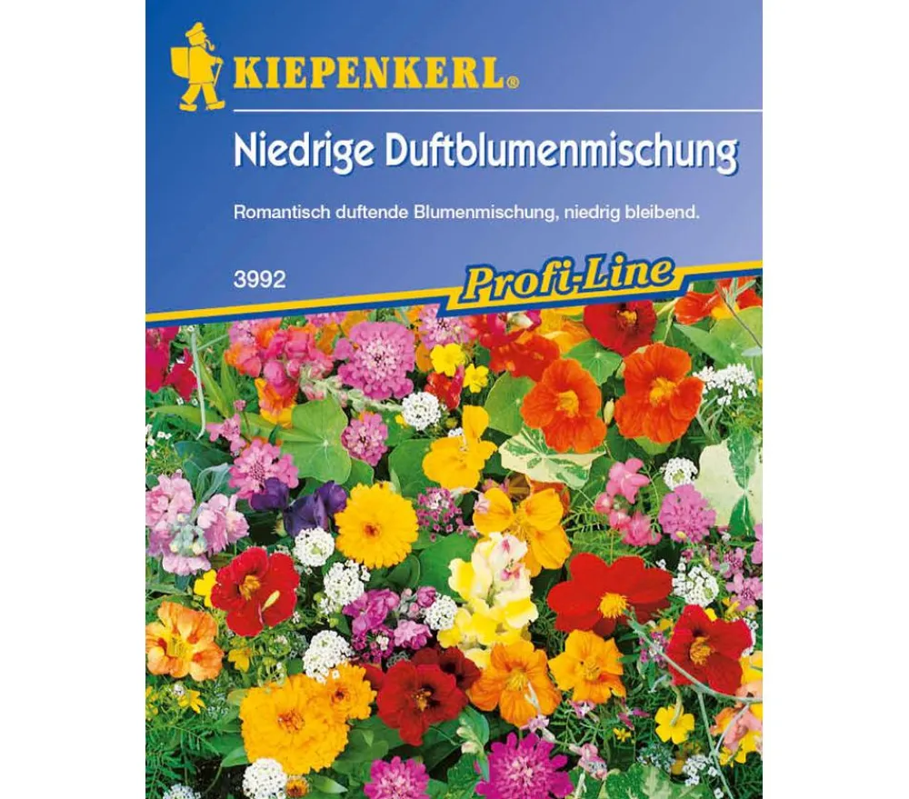 Nebelung/Kiepenkerl Kiepenkerl Saatgut Niedrige Duftblumenmischung Bunt New