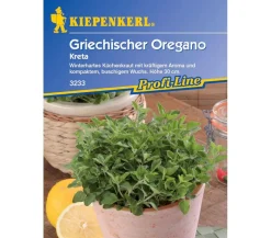 Nebelung/Kiepenkerl Kräutersamen - Kiepenkerl Saatgut Oregano 'Kreta'