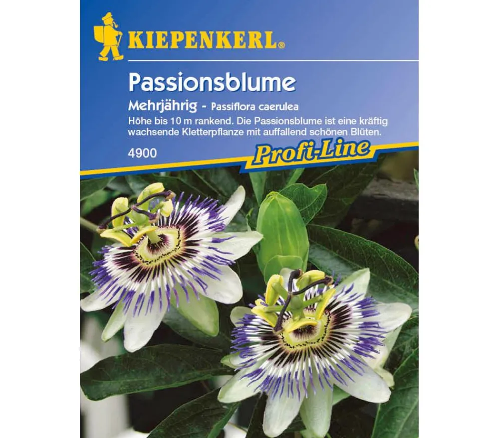 Nebelung/Kiepenkerl Kiepenkerl Saatgut Passionsblume Sale
