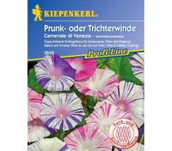 Nebelung/Kiepenkerl Blumensamen > Kiepenkerl Saatgut Prunk- oder Trichterwinde