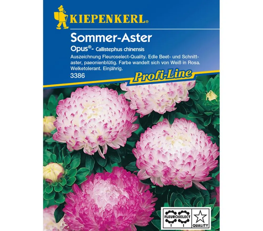 Nebelung/Kiepenkerl Kiepenkerl Saatgut Sommer-Aster 'Opus' New