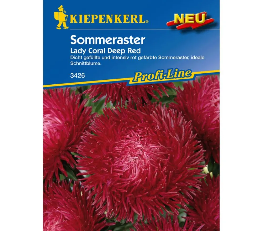 Nebelung/Kiepenkerl Blumensamen - Kiepenkerl Saatgut Sommeraster 'Lady Coral Deep Red' Rot