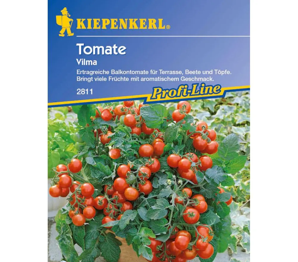 Nebelung/Kiepenkerl Gemüsesamen > Kiepenkerl Saatgut Tomate 'Vilma'