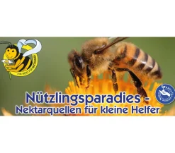 Nebelung/Kiepenkerl Kiepenkerl Saatgut Wildblumen Amerikanische Landblumenmischung Bunt Sale