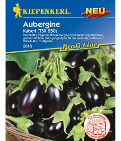 Nebelung/Kiepenkerl Gemüsesamen > Kiepenkerl Samen Aubergine 'Kaberi'